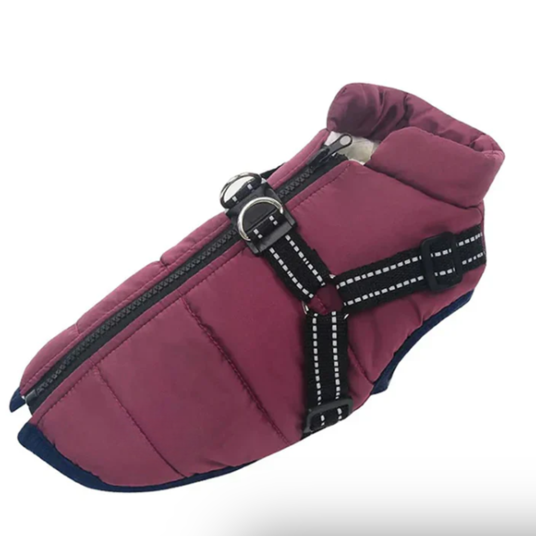 Dog Coat Harness Winter Walks