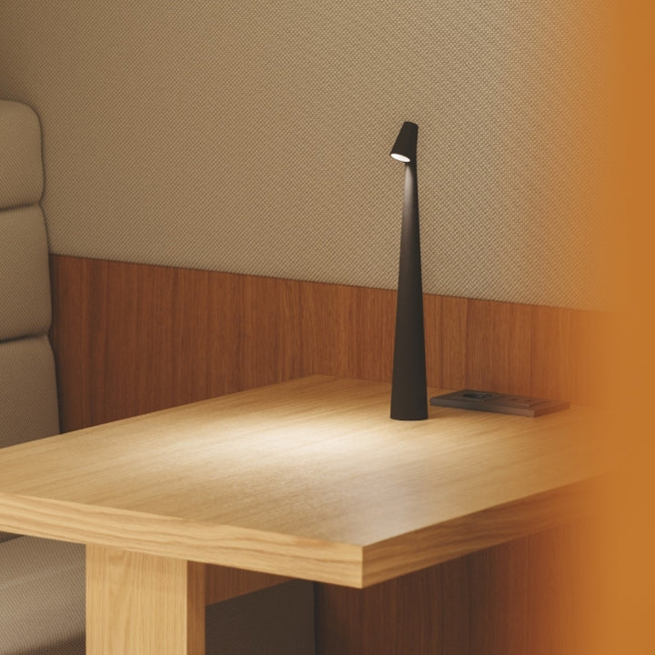 Sculpting table lamp
