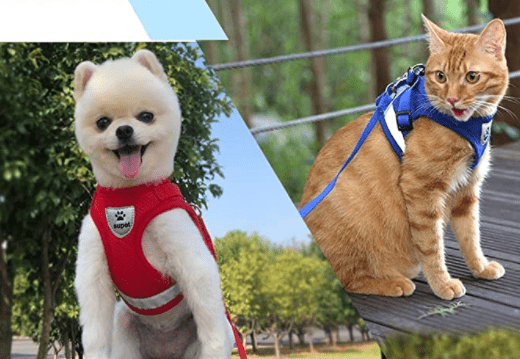 ADVENTURE HARNESS – Escape-proof cat harness with leash &amp; reflective elements