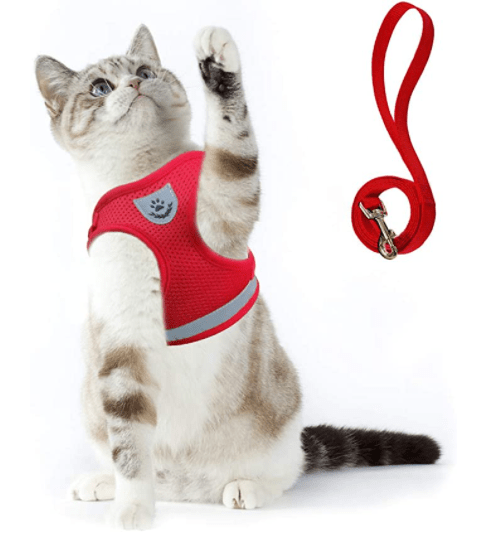ADVENTURE HARNESS – Escape-proof cat harness with leash &amp; reflective elements