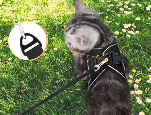 AdventureKit - Safe Harness for Adventurous Cats