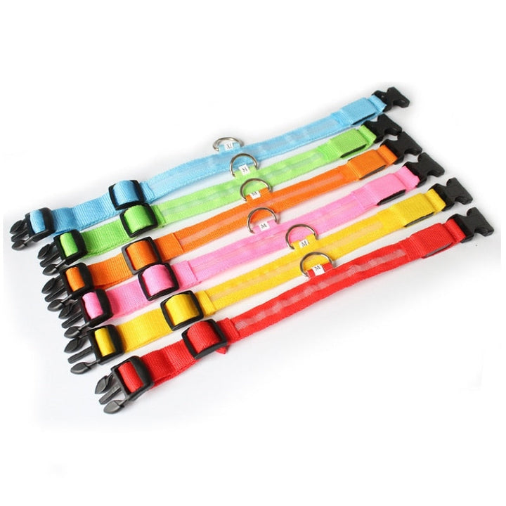 LED Dog Collar - GlowCollar