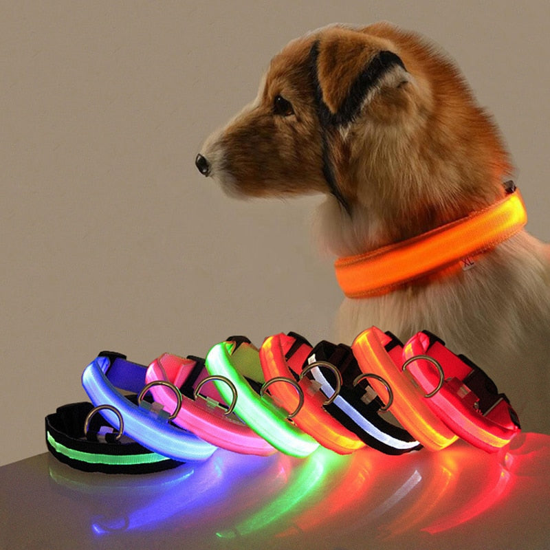 LED Dog Collar - GlowCollar