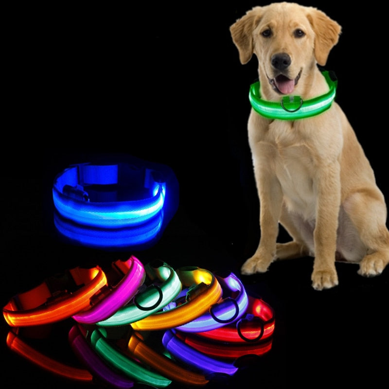 LED Dog Collar - GlowCollar