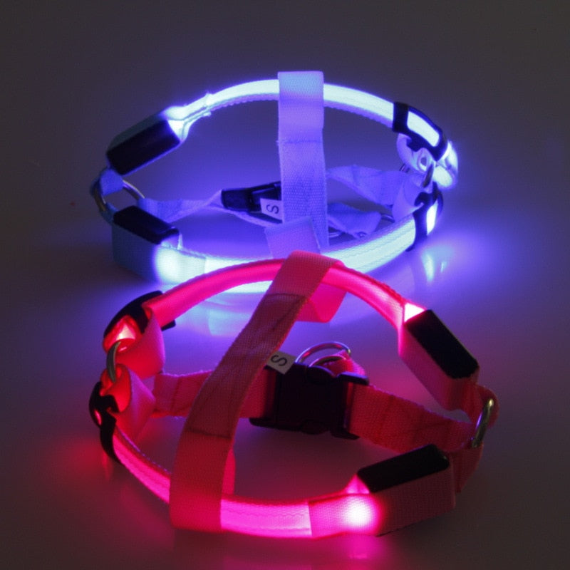 LED Dog Harness - Glow&amp;Go