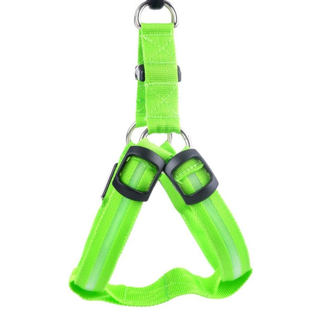 LED Dog Harness - Glow&amp;Go