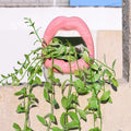 Lips Flower Pot