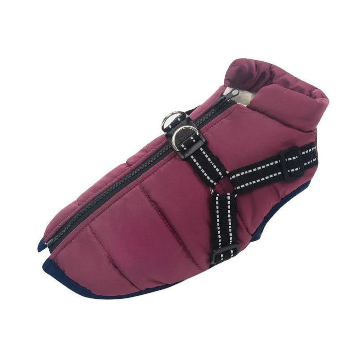All-Weather Insulated Dog Jacket with Built-in Harness