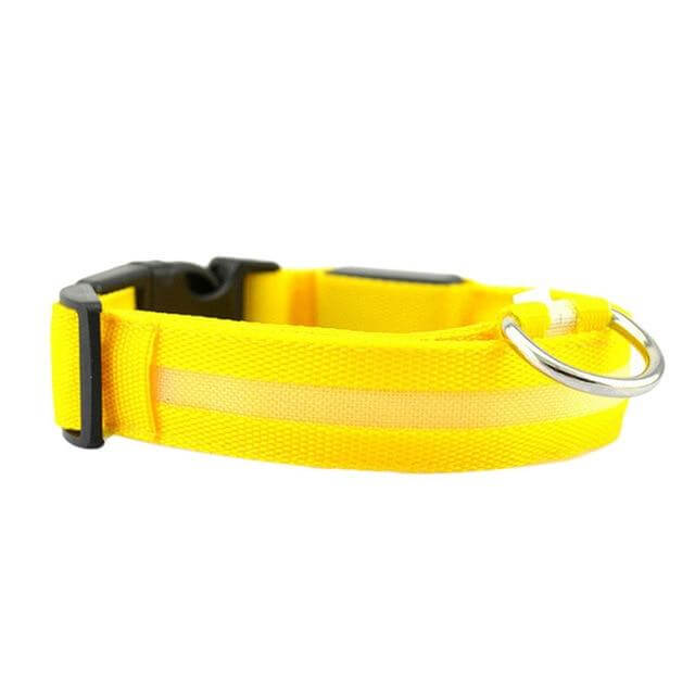 GlowPets LED Collar – Safety &amp; Visibility for Pets