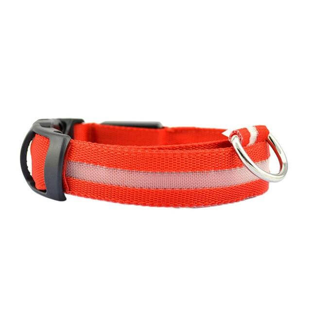 GlowPets LED Collar – Safety &amp; Visibility for Pets