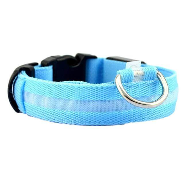 GlowPets LED Collar – Safety &amp; Visibility for Pets
