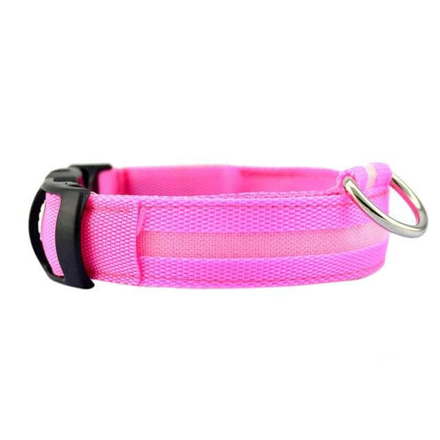 GlowPets LED Collar – Safety &amp; Visibility for Pets