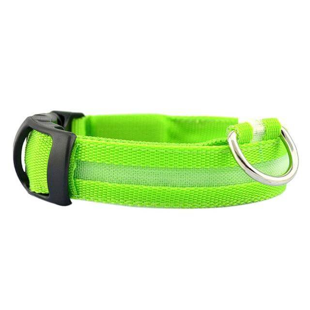 GlowPets LED Collar – Safety &amp; Visibility for Pets