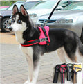 Dog Walking Harness |