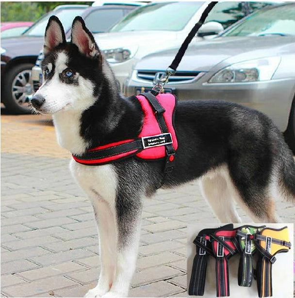 Dog Walking Harness |