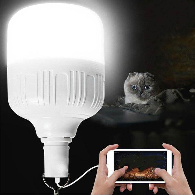 Outdoor USB Rechargeable LED Night Light Bulb |
