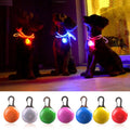 LED Flash Dog Collar Pendant |