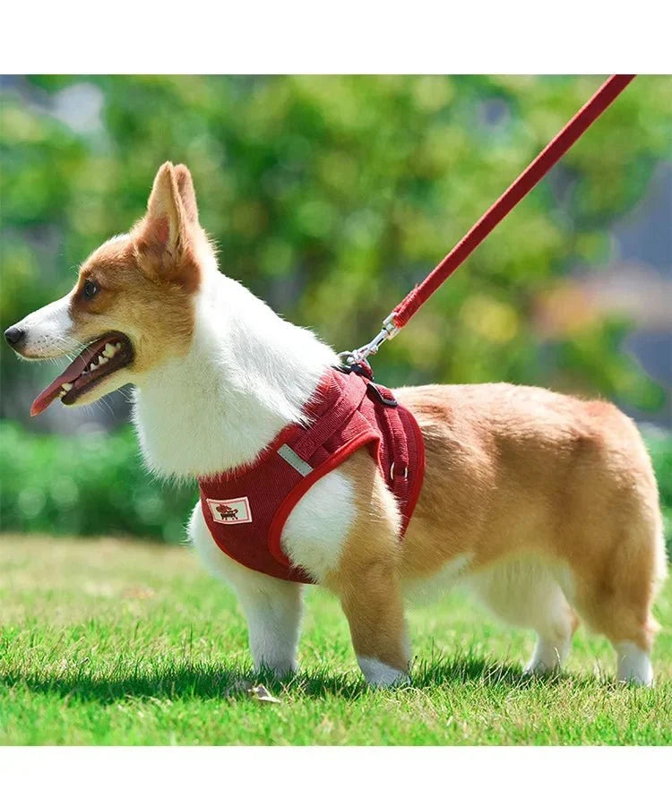 ReflectaHarness • No Pull Dog Harness