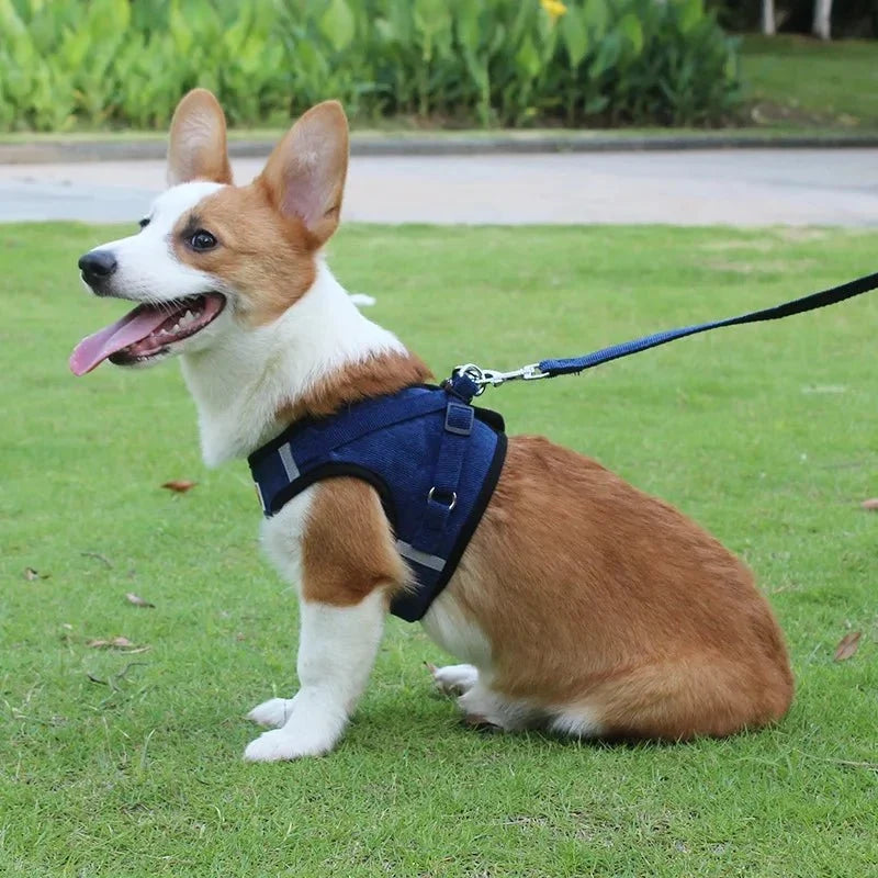 ReflectaHarness • No Pull Dog Harness