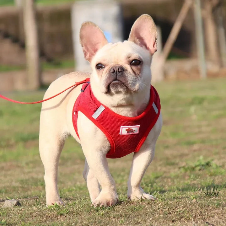 ReflectaHarness • No Pull Dog Harness