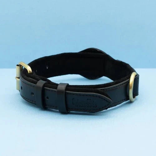 SafeTrack • Premium AirTag Dog Collar