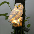 Barter | Garden lamp owls with solar energy