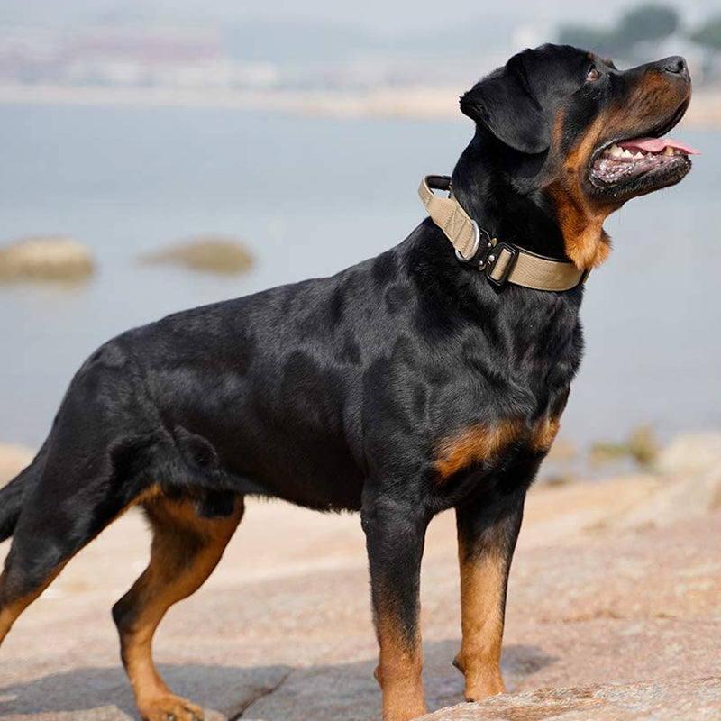 Tactical Dog Collar with Handle - PowerGrip