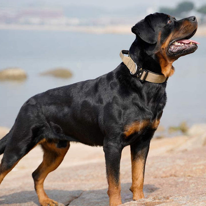 Tactical Dog Collar with Handle - PowerGrip