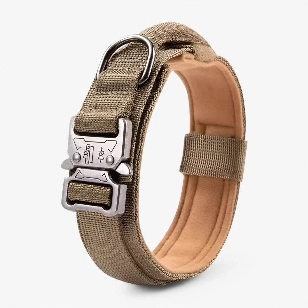 Adjustable Dog Collar Set for Adventures and Daily Training