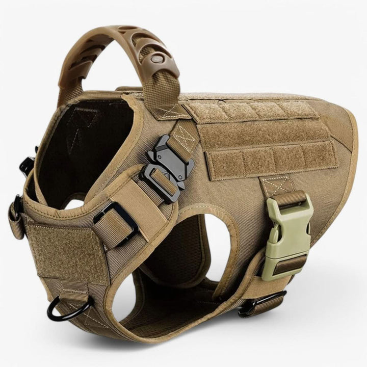 Adjustable Dog Harness for Safe and Comfortable Training