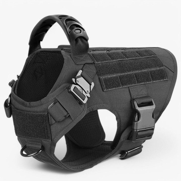 Adjustable Dog Harness for Safe and Comfortable Training