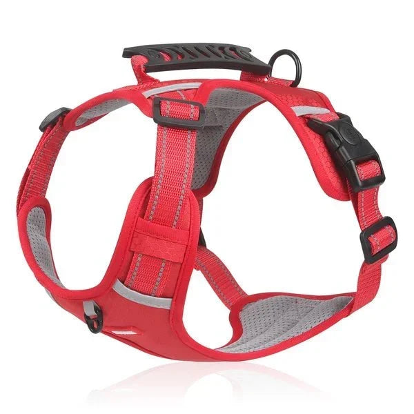 WalkEase Harness – Anti-pull dog harness for relaxed walks &amp; healthy posture