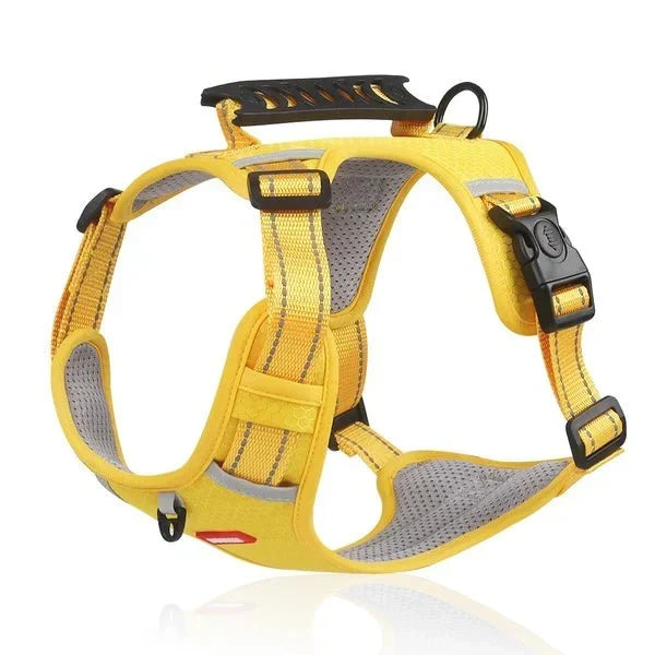 WalkEase Harness – Anti-pull dog harness for relaxed walks &amp; healthy posture