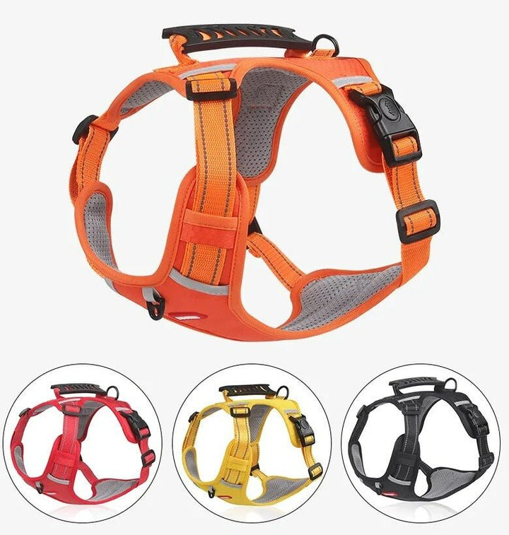 WalkEase Harness – Anti-pull dog harness for relaxed walks &amp; healthy posture