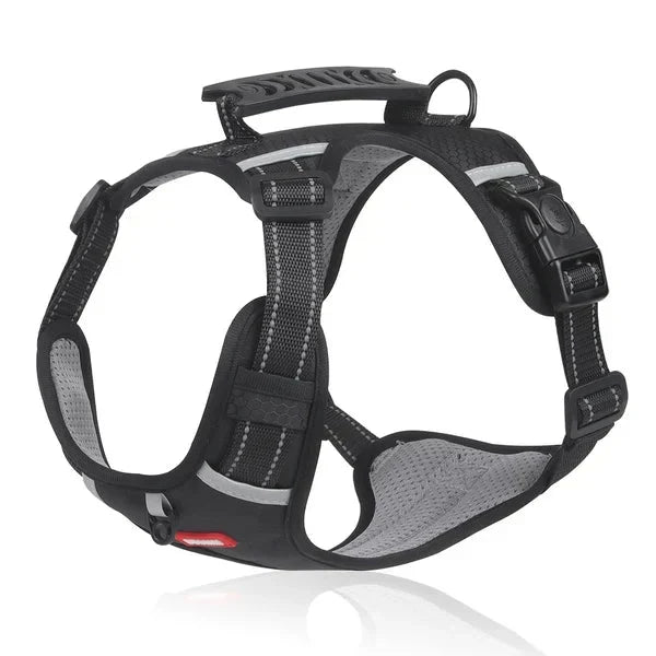 WalkEase Harness – Anti-pull dog harness for relaxed walks &amp; healthy posture