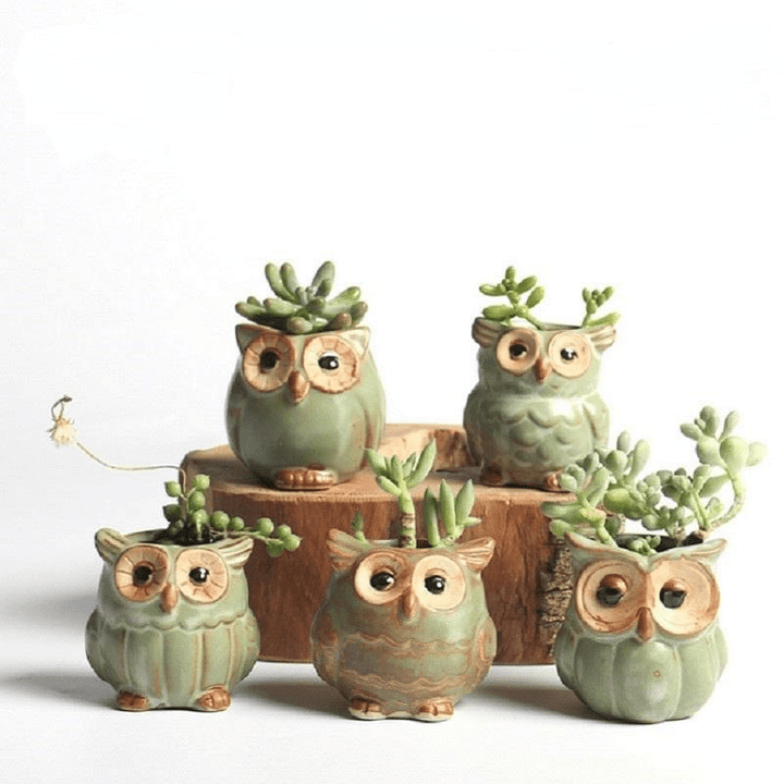 Owls Ceramic Flower Pot Set 5-piece