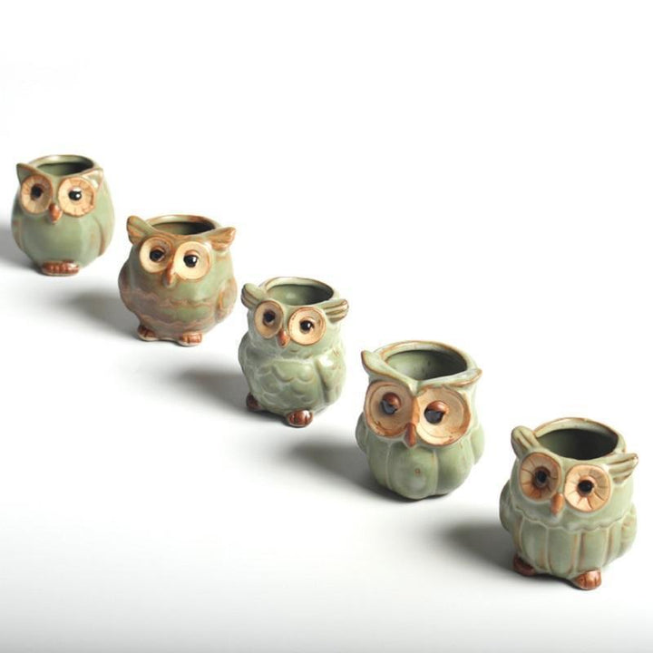 Owls Ceramic Flower Pot Set 5-piece