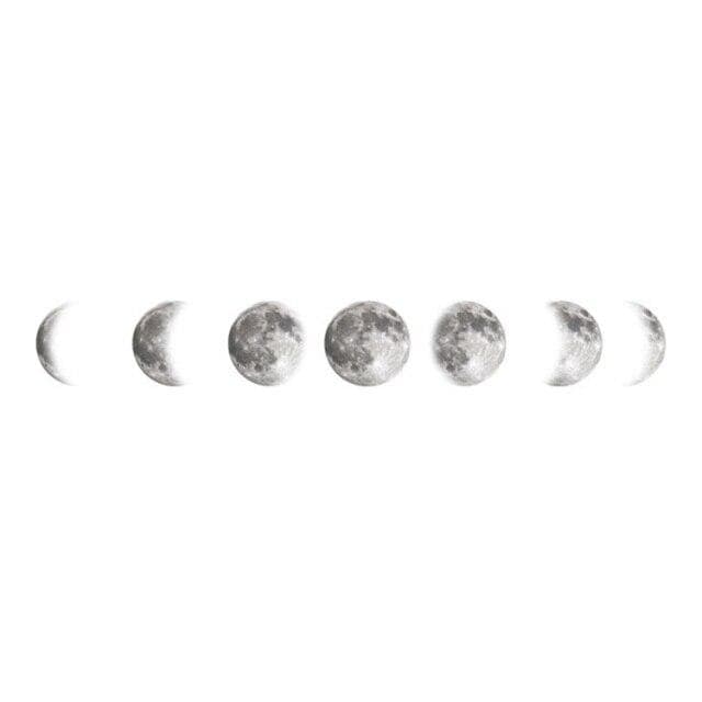Mouth Phases Wall Sticker
